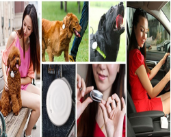 寵物犬身戴GPS 助破案